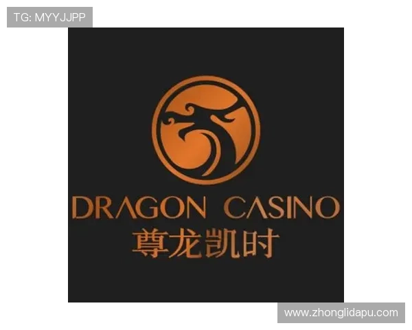 尊龙凯时博用户体验提升方案，帮助玩家轻松上手享受游戏乐趣